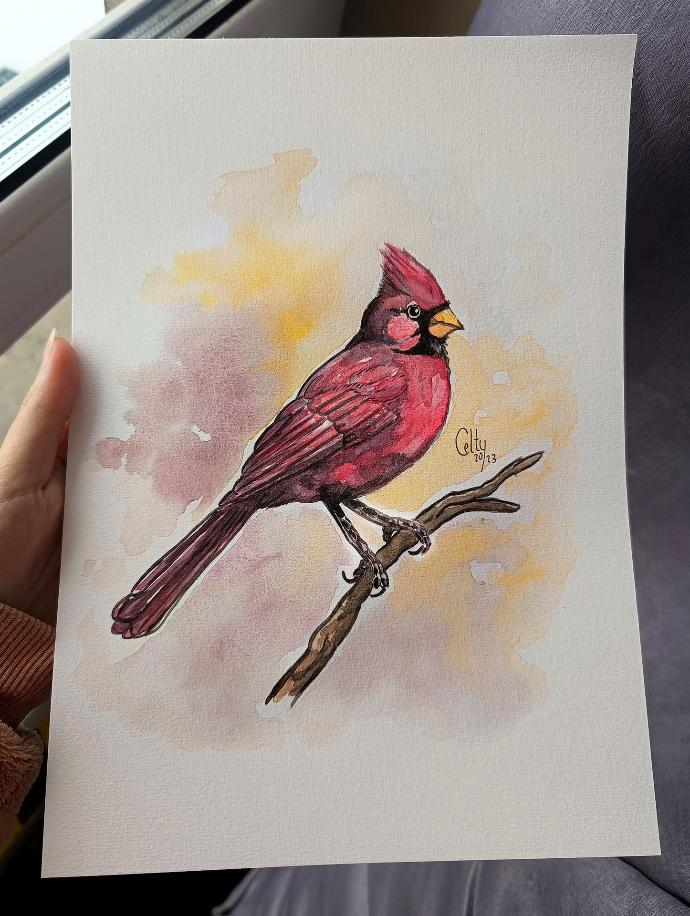 Red Cardinal A4